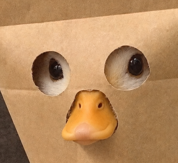 ZDUCK peeking through the paper world